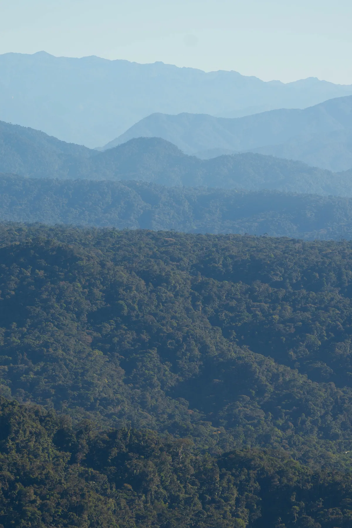 Montañas azules en capas sobre una selva que baja por las laderas, sin ninguna casa a la vista