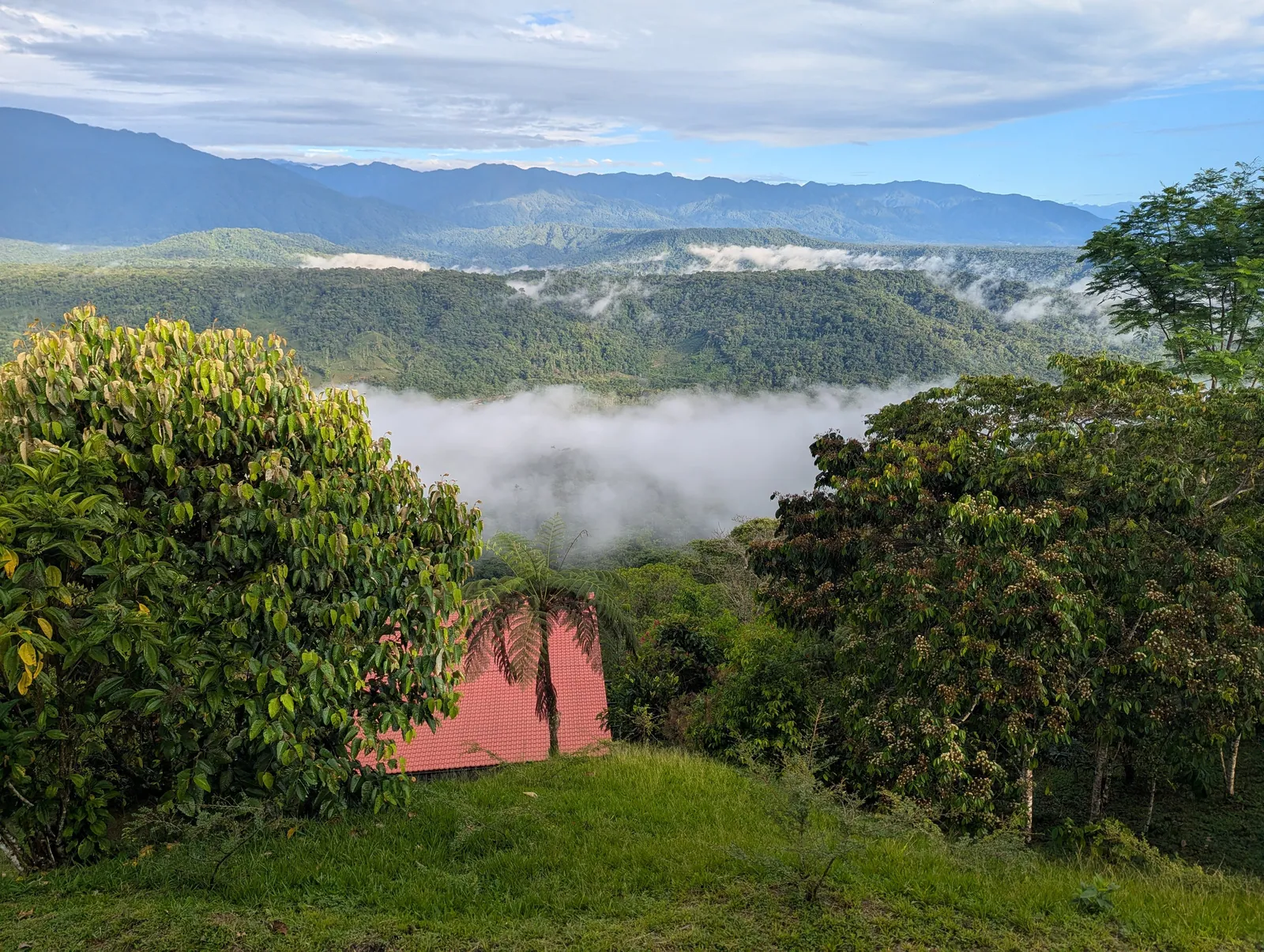 Un valle con un banco de niebla abajo y montañas al fondo, con árboles y un techo rojo sobre el pasto en primer plano