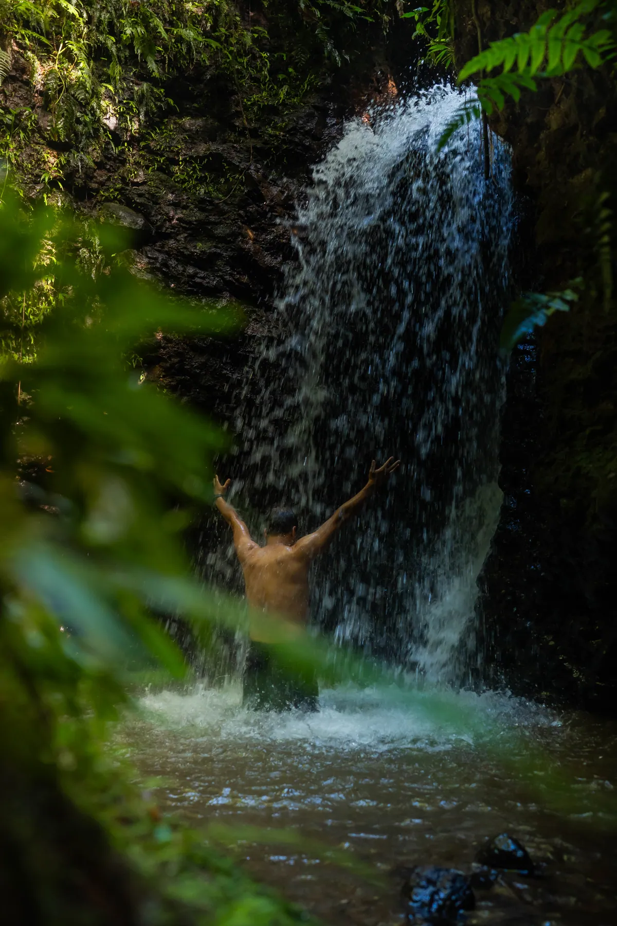 Un hombre con el agua a la cintura en una poza del bosque, los brazos abiertos bajo una cascada, entre helechos