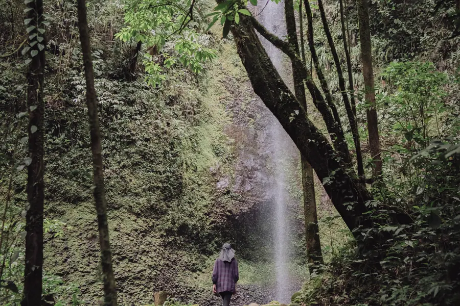 Una persona en el sendero de piedra, bajo una cascada alta en el bosque nublado